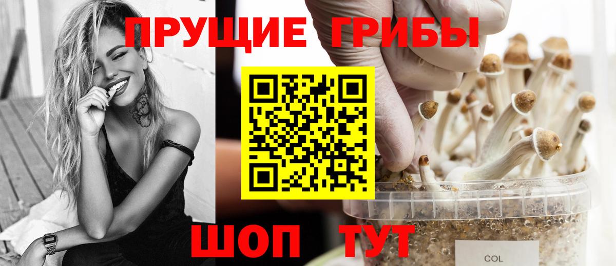 продажа наркотиков  Галлюциногенные грибы мицелий  Вход с VPN  Павловский Посад 